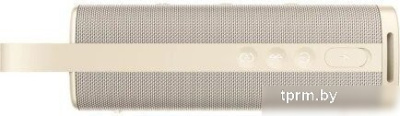Xiaomi Sound Outdoor (золотистый, международная версия) 