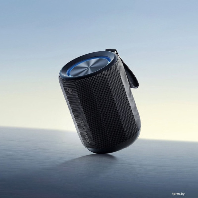 Беспроводная колонка Xiaomi Bluetooth Speaker Mini ASM01G (черный, международная версия) 
