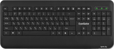 ExeGate Professional Standard LY-E5500M Color box 