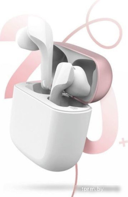 Наушники Sabbat JetPods (белый) 