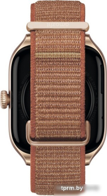 Умные часы Amazfit GTS 4 (золотистый, с коричневым нейлоновым ремешком) 