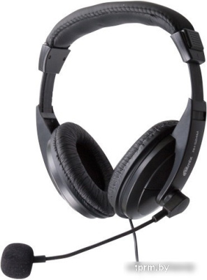 Наушники Ritmix RH-524M 