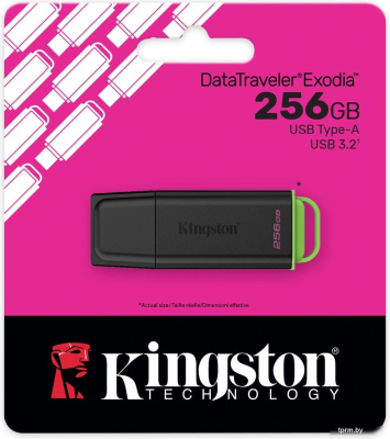 Kingston DataTraveler Exodia 256GB DTXG2/256GB 