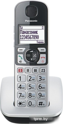 Радиотелефон Panasonic KX-TGE510RUS 