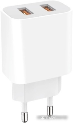Сетевое зарядное GoPower 00-00018570 