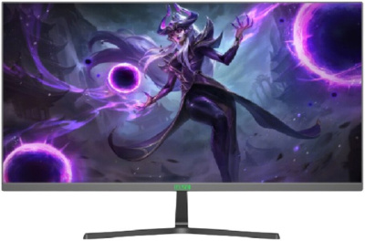 Игровой монитор ELSA EA241S Pro 