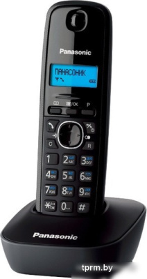 Радиотелефон Panasonic KX-TG1611RUH 