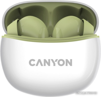 Наушники Canyon CNS-TWS5GR 