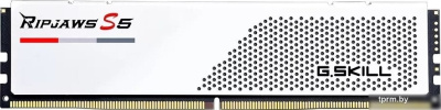 G.Skill Ripjaws S5 2x24ГБ DDR5 5200 МГц F5-5200J4040A24GX2-RS5W 