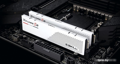 Оперативная память G.Skill Ripjaws S5 2x32ГБ DDR5 6000МГц F5-6000J3040G32GX2-RS5W 