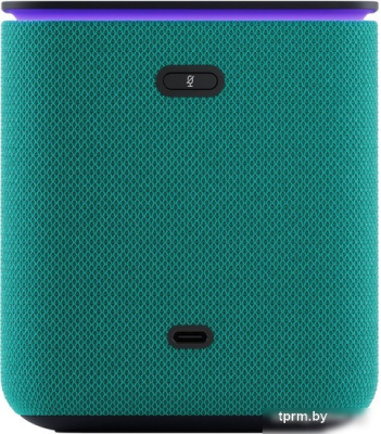 Умная колонка Яндекс Станция Миди (изумрудный) 