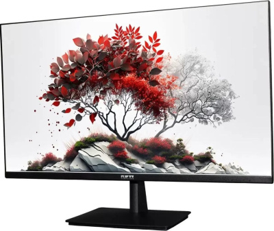Монитор RDW Computers RDW2701K/F08B3100V2A1 