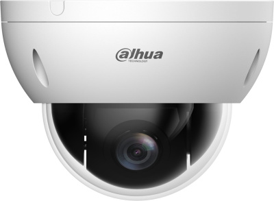 IP-камера Dahua DH-SD22404DB-GNY 