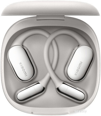 Наушники Xiaomi OpenWear Stereo M2503E1 (титановый серый, международная версия) 