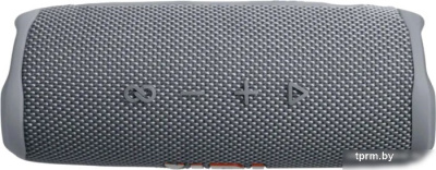 Беспроводная колонка JBL Flip 6 (серый) 