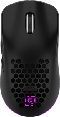 Игровая мышь Oklick 900GMW (черный)