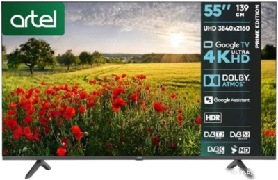 Artel A55PUCH010 