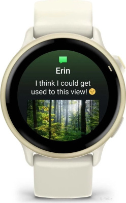 Умные часы Garmin Vivoactive 6 (лунное золото) 