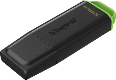 Kingston DataTraveler Exodia 256GB DTXG2/256GB 