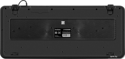 ExeGate Professional Standard LY-E5500M Color box 