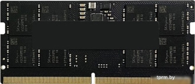 Оперативная память AMD Radeon R5 Entertainment Series 32ГБ DDR5 SODIMM 5200 МГц R5532G5200S2S-U 