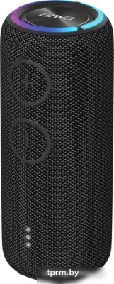 Беспроводная колонка Aiwa PAS-H300 (черный) 