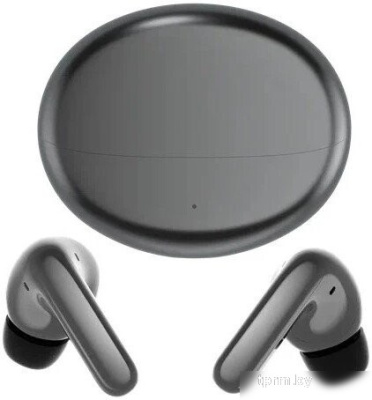 HONOR Choice Earbuds X7 Pro (темно-серый) 