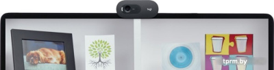 Веб-камера Logitech C505e 
