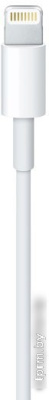 Кабель Apple Lightning to USB 1 м (белый) [MD818ZM/A] 
