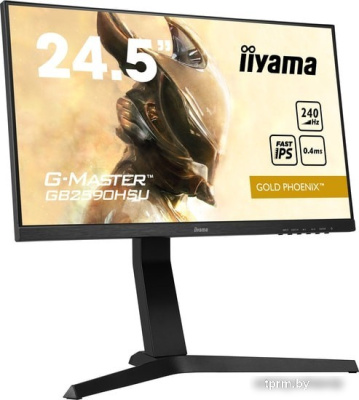 Монитор Iiyama G-Master GB2590HSU-B1 