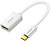Адаптер Ugreen US154 30702 