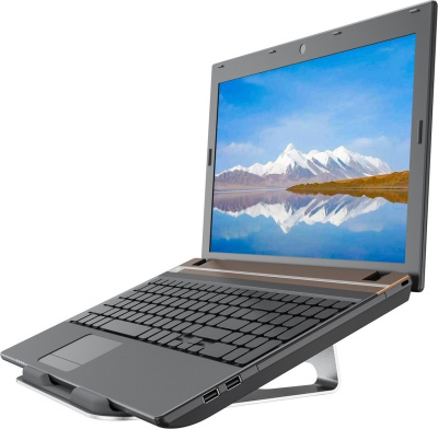 Подставка CACTUS CS-NB-AL 