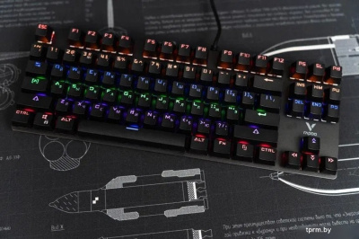 Rapoo V500Pro-87 (черный) 