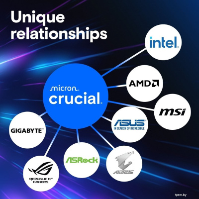 Оперативная память Crucial Pro 32ГБ DDR5 5600 МГц CP32G56C46U5 