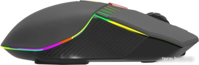 Игровая мышь Acer OMR305 
