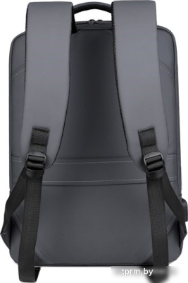 Miru Emotion 15.6 (серый) 