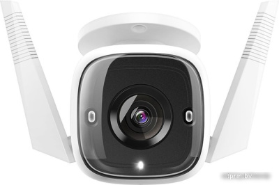 IP-камера TP-Link C310 