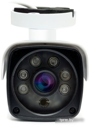 IP-камера Ginzzu HIB-2301A 