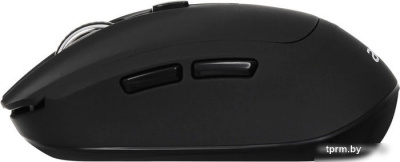 Мышь Acer OMR040 
