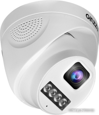 IP-камера Ginzzu HID-4301A 