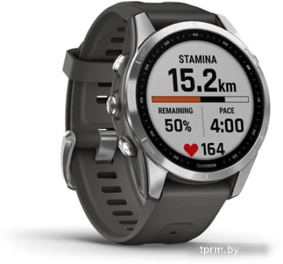 Умные часы Garmin Fenix 7S 42 мм (серебристый/графитовый) 