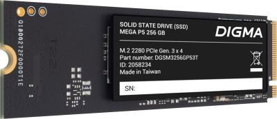 SSD Digma Mega P5 256GB DGSM3256GP53T 
