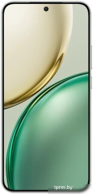 HONOR X9d 8GB/256GB международная версия (мятный) 