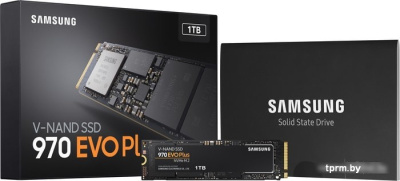 SSD Samsung 970 Evo Plus 1TB MZ-V7S1T0BW 
