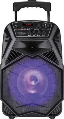 Колонка для вечеринок National NSM-V100