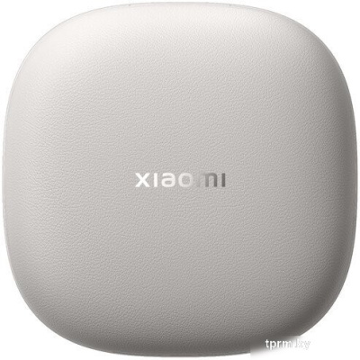 Наушники Xiaomi OpenWear Stereo M2503E1 (титановый серый, международная версия) 