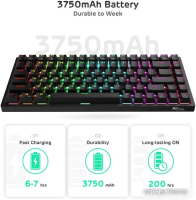 Клавиатура Royal Kludge RK84 RGB (черный, RK Red) 