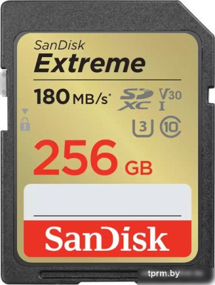 Карта памяти SanDisk Extreme SDXC SDSDXVV-256G-GNCIN 256GB 
