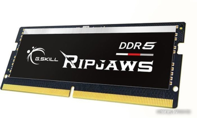 G.Skill Ripjaws 32ГБ DDR5 SODIMM 5600МГц F5-5600S4040A32GX1-RS 