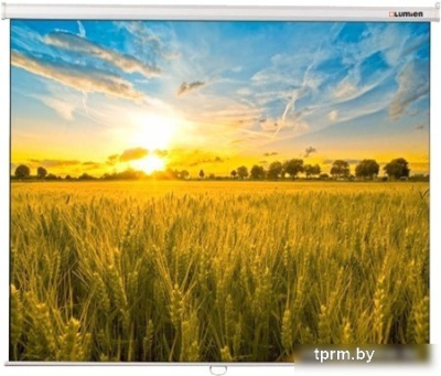 Проекционный экран Lumien Eco Picture 153x240 LEP-100123 